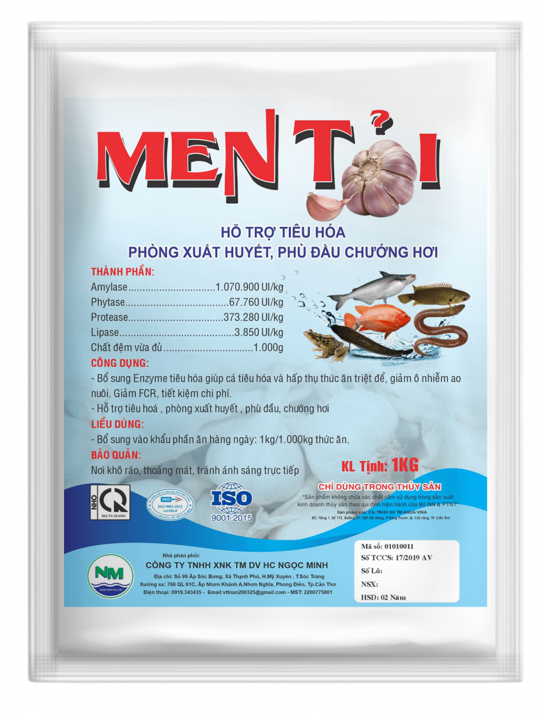 Men tỏi (cá) – hỗ trợ tiêu hóa, phòng xuất huyết, phù đầu, chướng hơi