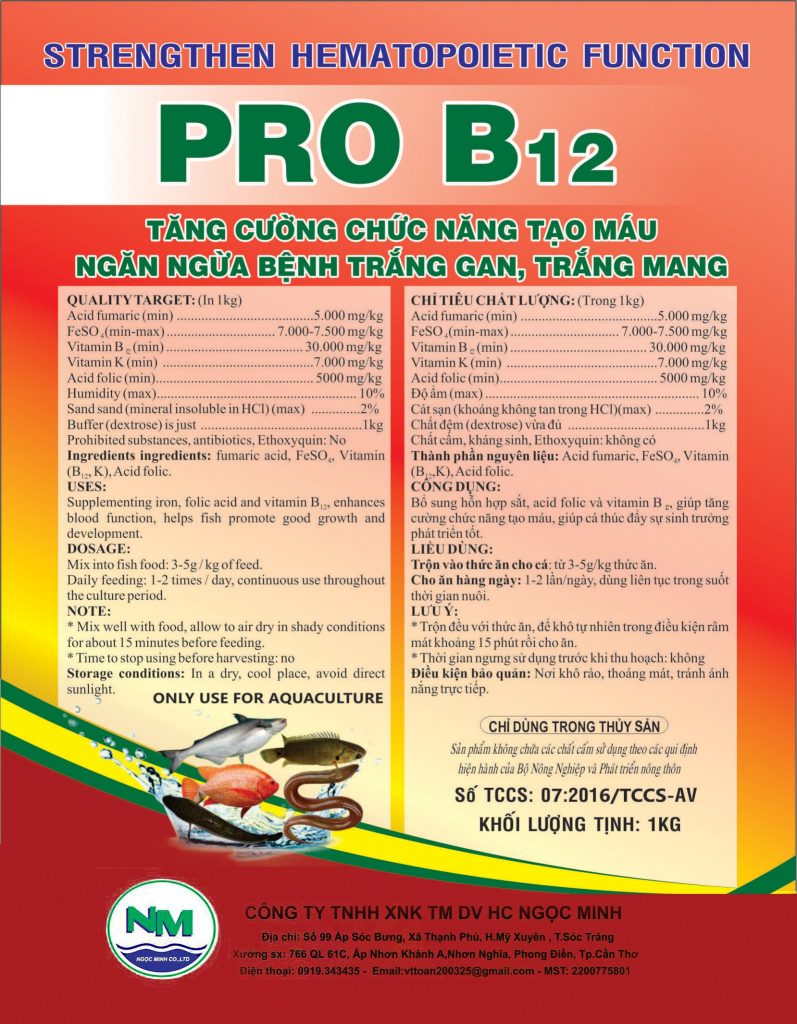 PRO B12