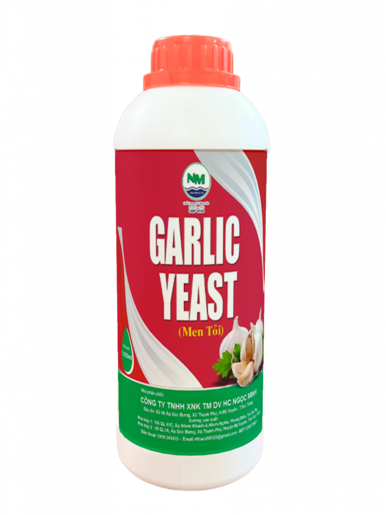 GARLIC YEAST