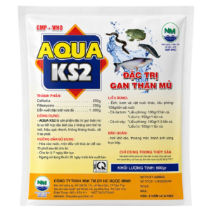 KS2