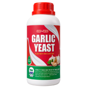 GARLIC YEAST