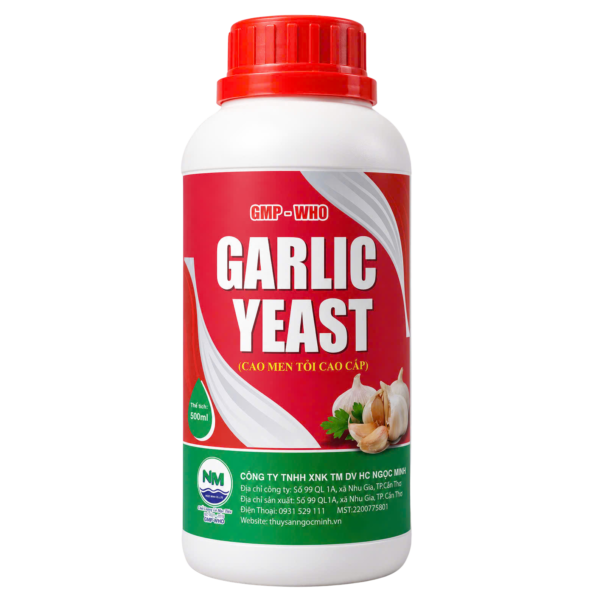 GARLIC YEAST