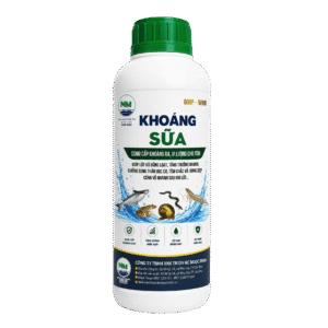 KHOÁNG SỮA