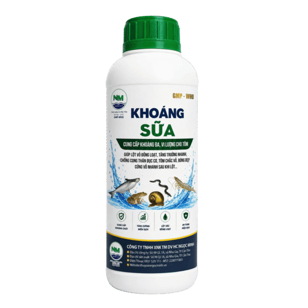 KHOÁNG SỮA 1 KHOÁNG SỮA