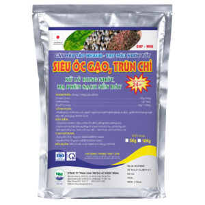 SIÊU ỐC GẠO - TRÙN CHỈ