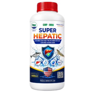 SUPER HEPATIC