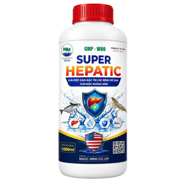 SUPER HEPATIC