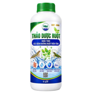 THẢO DƯỢC RUỘT