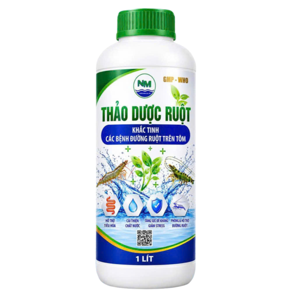 THẢO DƯỢC RUỘT