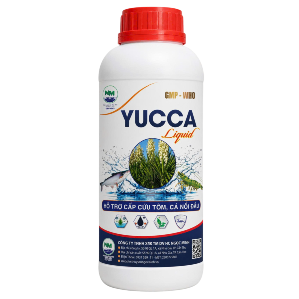YUCCA LIQUID